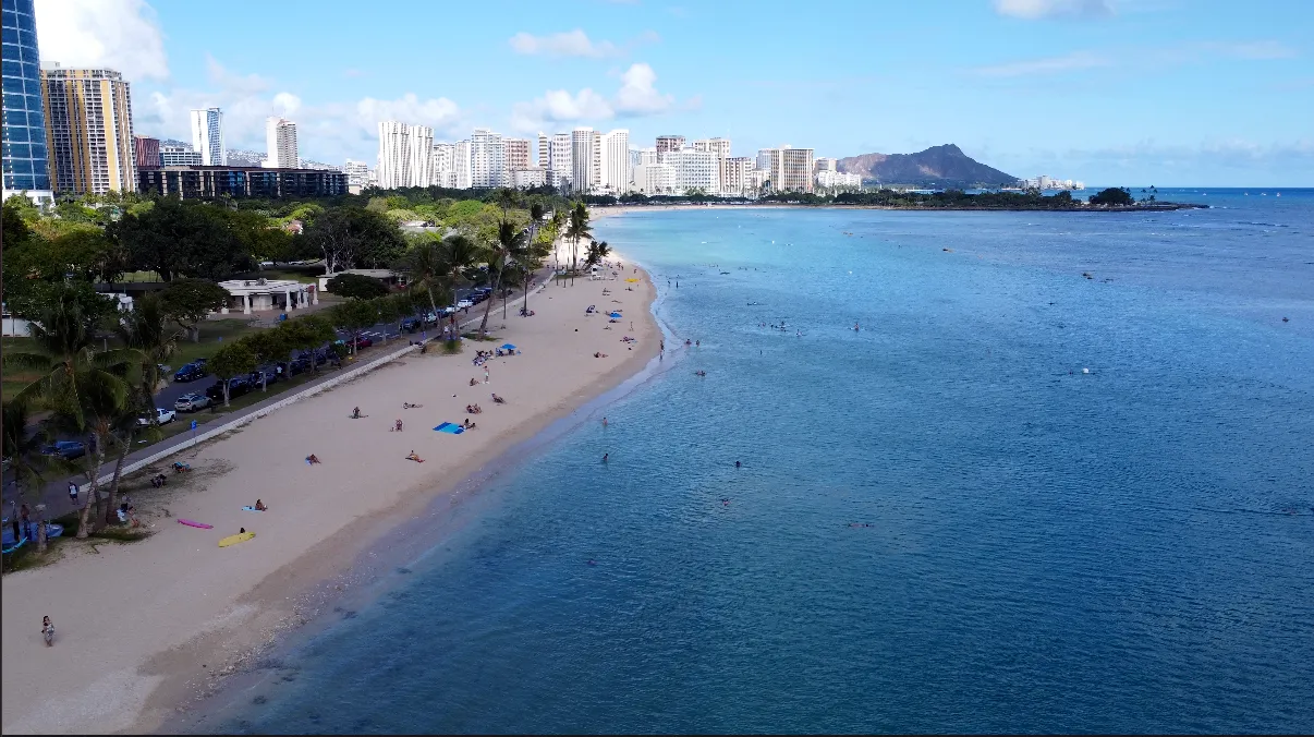 Screenshot 2023-02-20 at 1.00.37 PM.png